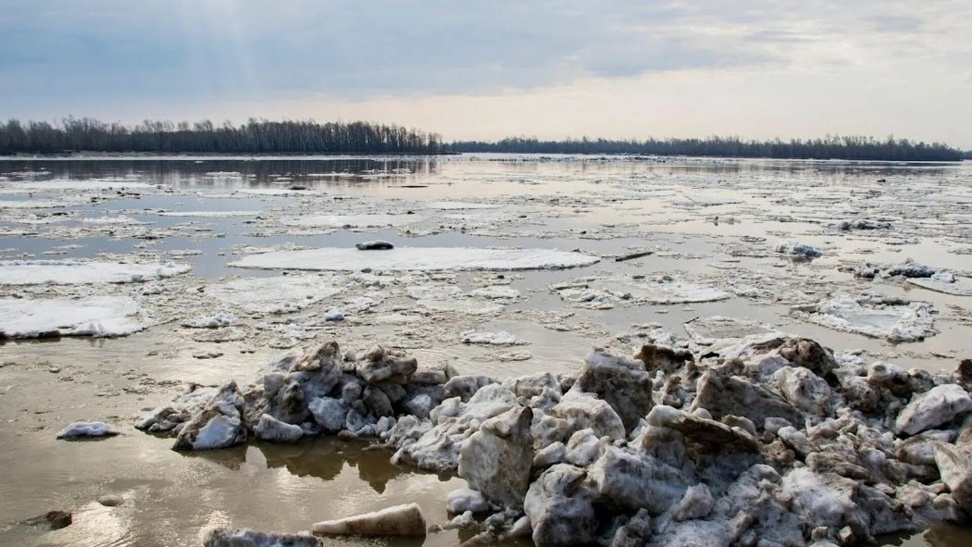 Ледоход в Барнауле 2022. Ледоход на берегу Оби. Ледоход в Барнауле 2023. Ледоход в барнауле 2024