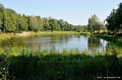 Московская область деревня шишкино