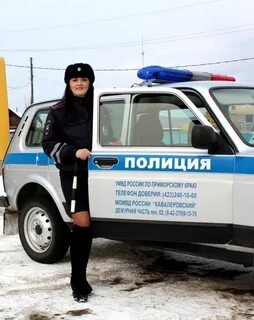 Номер телефона кавалерово