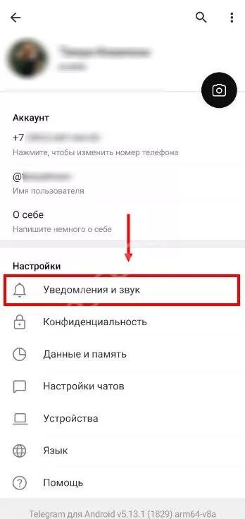 Как включить камеру в телеграм. Отключить звук камеры в телеграмме. как выключить звук в телеграмме. настройки звука в телеграмме. настройки камеры в телеграмме.