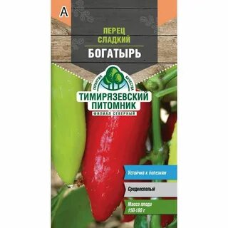 Перец богатырь описание сорта характеристика фото