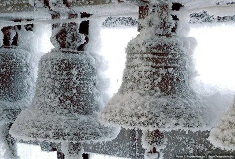 Snow bells