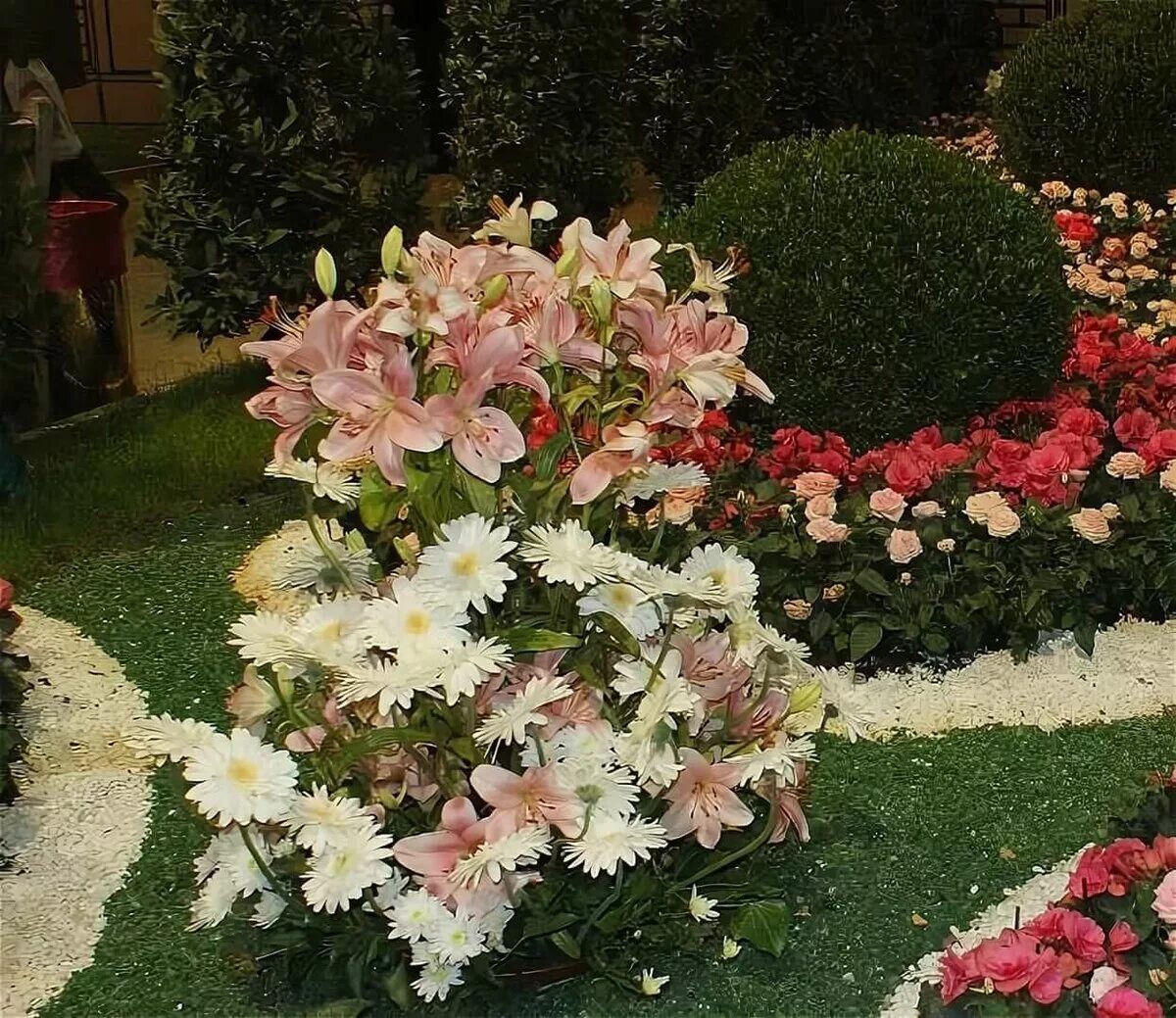 Хвойники хосты лилейники. Розы с лилиями на клумбе. В цветнике только лилии и розы. Цветник с флоксами и лилейниками. Аквилегия в миксбордере.