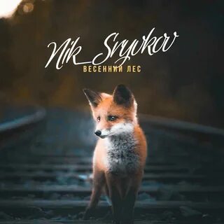 Минусовка лес