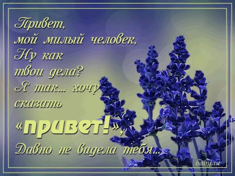 Милый мой расскажи как твои дела. Приветствия и пожелания. Открытка как дела мужчине. Стих привет. Приветствие родственникам открытки.