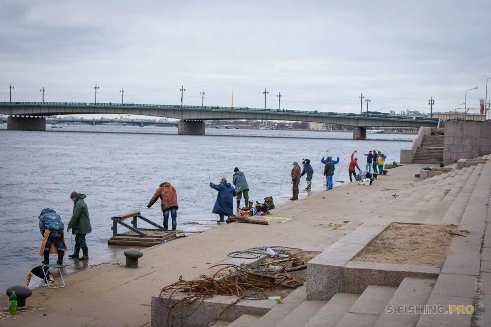 Корюшки в неве санкт-петербурге. Рыбалка в спб на неве. Рыбаки на неве. Рыбалка на обводном канале спб. В петербурге ловят.
