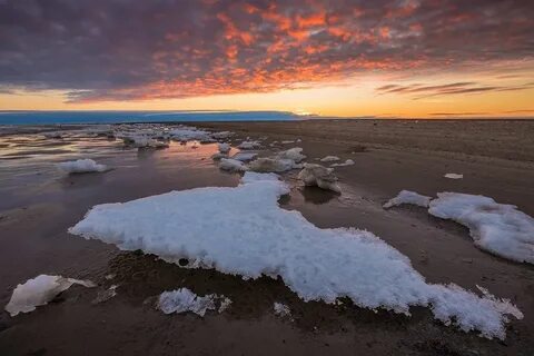 Белое море арктическое море