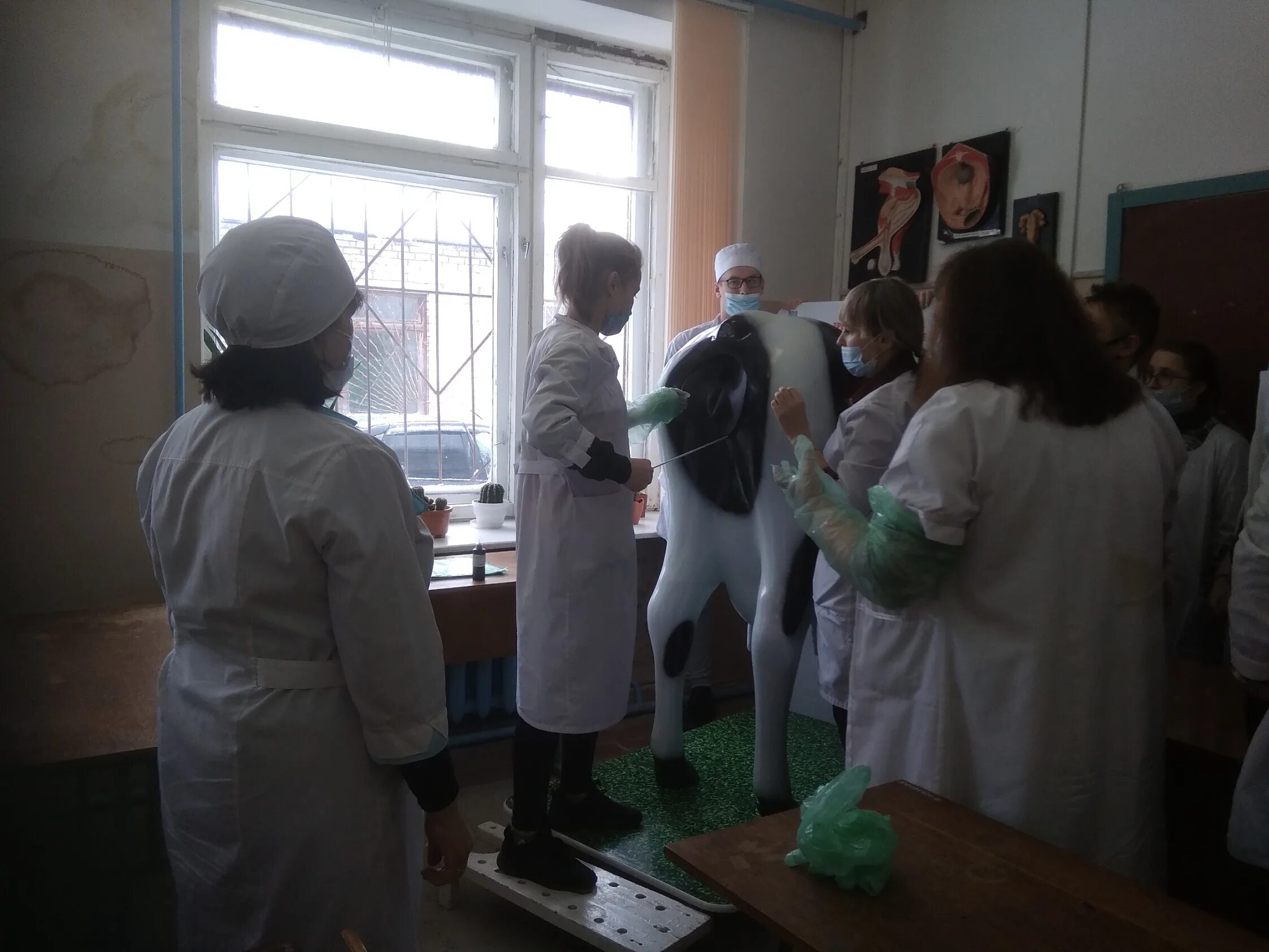 Ветеринарный или аграрный колледж в магнитогорске. Сайт павловского аграрного техникума алтайского края. Кирсанов ветеринарный техникум. Аграрный колледж ветеринария. Томский аграрный колледж внутри.