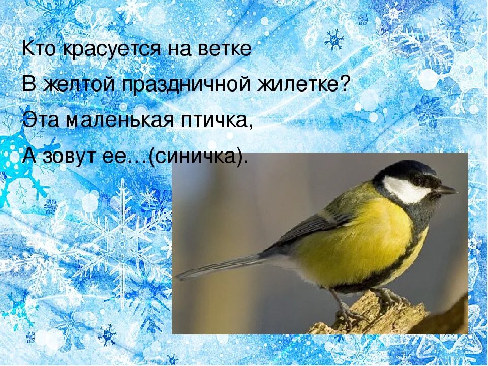 Загадка про синичку. Загадка про синицу для детей. Загадка про синичку для детей. Загадка про синицу для дошкольников.