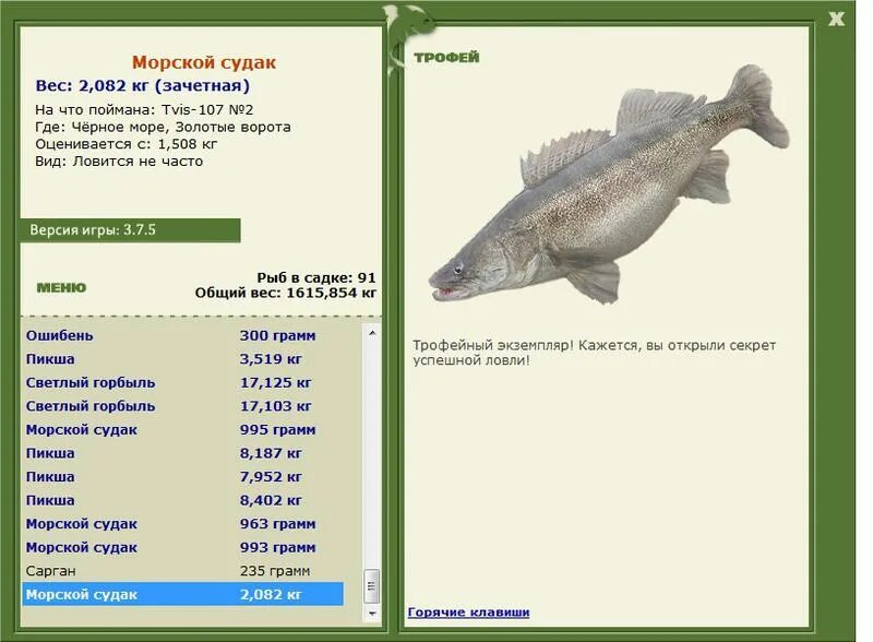 Какой размер судака можно ловить. Судак рыба вес. судак трофейный вес. максимальный вес судака.