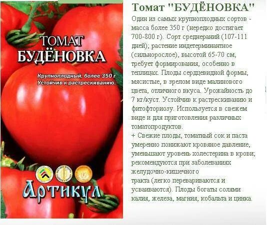 Томат Бабушкина буденовка: характеристика и описание сорта, фото и отзывы об уро