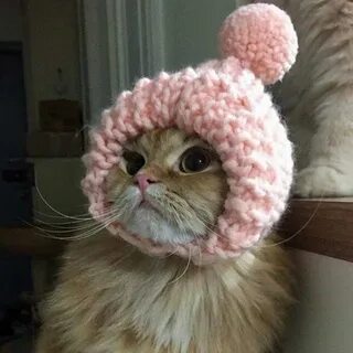 Милые тепла