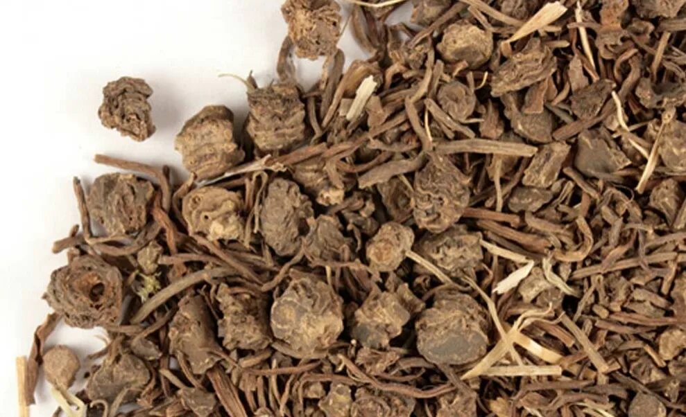 Корень копеечника. Довольный корень. Довольный корень. Красный корень алтайвитамины. Женьшень дальневосточный.