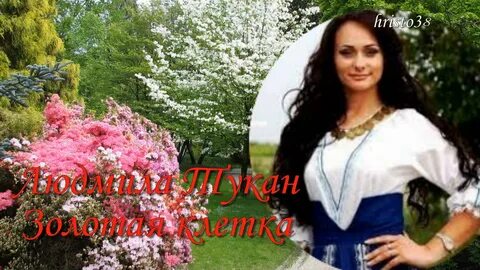 Тукан золотая клетка