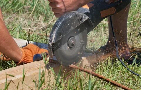 Saw grass