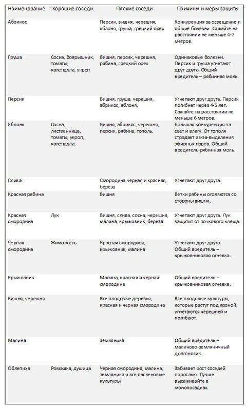 Таблица совместимости деревьев в саду. Совместимость плодовых деревьев и кустарников в саду таблица. Таблица совместимости плодовых деревьев и кустарников. Соседство плодовых деревьев друг с другом. Таблица совместимости деревьев в саду.