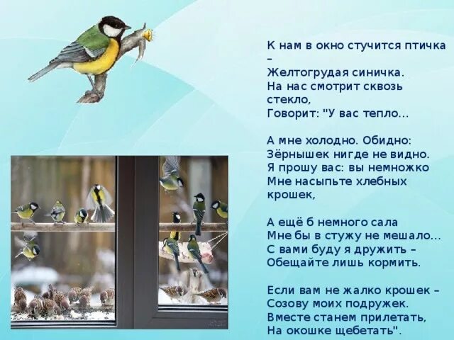 Птица стучится в окно примета. Птица стучит в окно примета. Птица стучит в окно примета синица. Синичка в окно стучится примета.