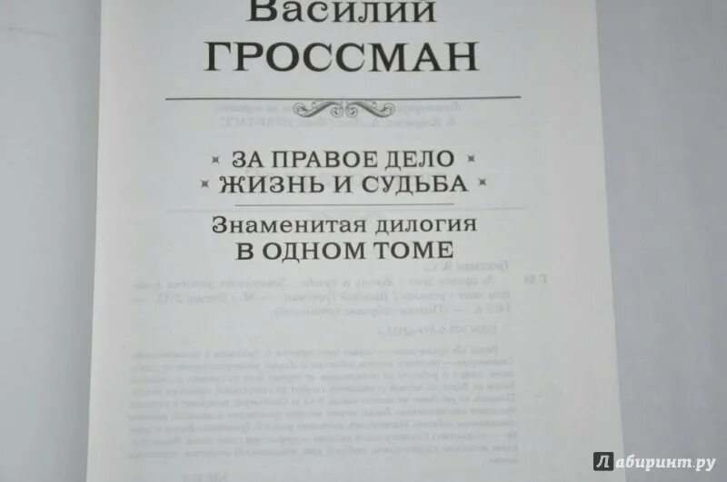 Жизнь и судьба гроссман содержание. Жизнь и судьба гроссман содержание