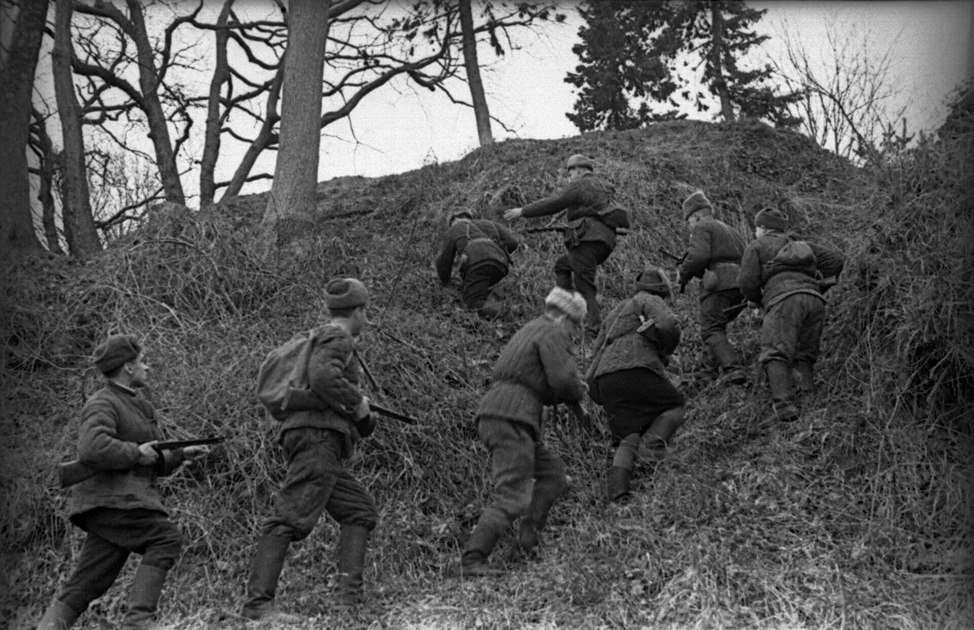 Отряд окружение. Партизаны Отечественной войны 1941-1945. Партизаны Крыма 1941-1944. Партизанское движение 1941-1945.