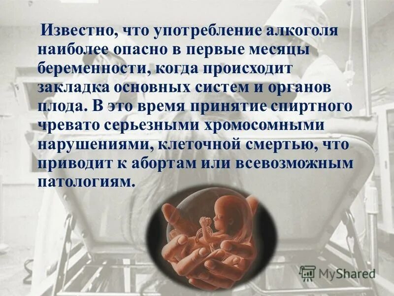 Формирование половых органов эмбриона