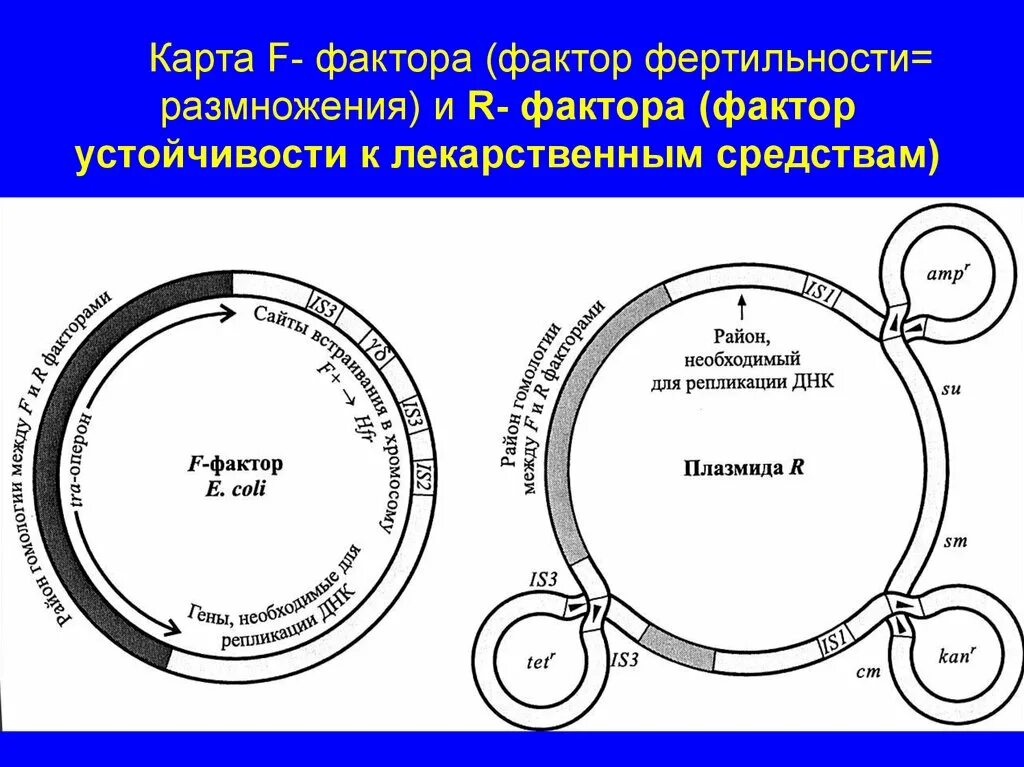 Факторы рождаемости. Факторы влияющие на рождаемость населения. Факторы фертильности. Факторы фертильности. Факторы рождаемости.