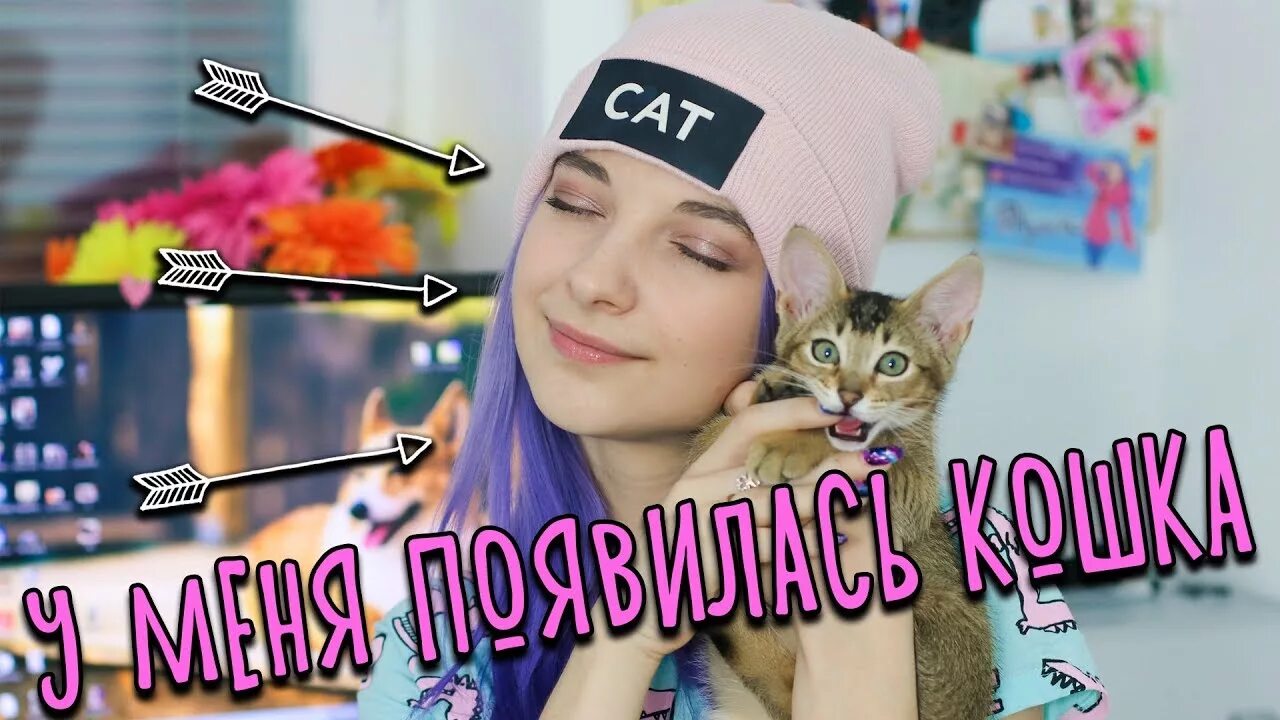 Тилька жизнь. Тилька блоггер. тилька с котиком. кошка тильки плей.