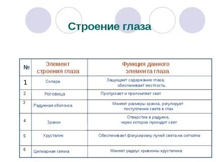 5 функций глаза