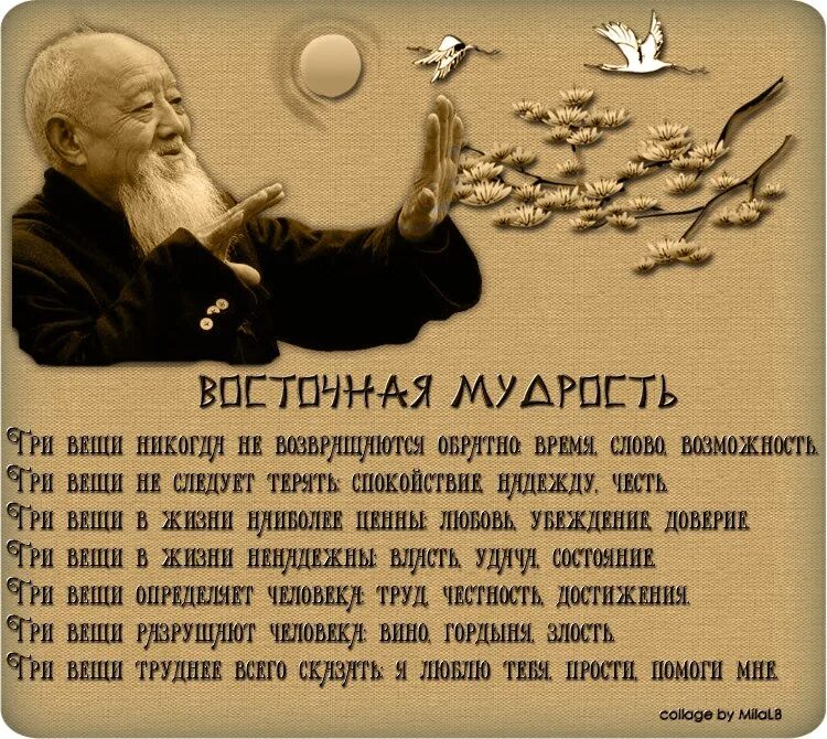 С днем рождения ваша мудрость. Восточная мудрость. мудрые высказывания. высказывания мудрецов. восточная мудрость цитаты.