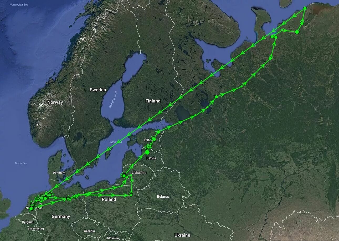 Карта пролета. Путь миграции белолобого гуся в России. Маршруты миграции белолобого гуся. Карты миграции перелетного гуся.