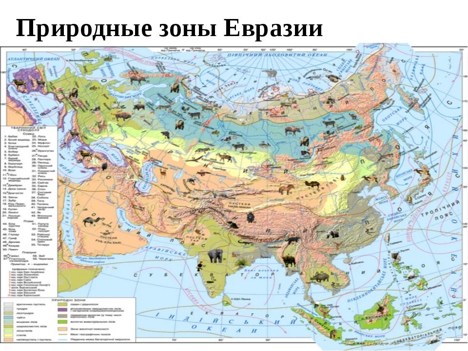 Природные зоны Евразии 7 класс география. Природные зоны материка Евразия. Природные зонвевразии карта. Карта природных зон Евразии. В каких природных зонах расположена евразия