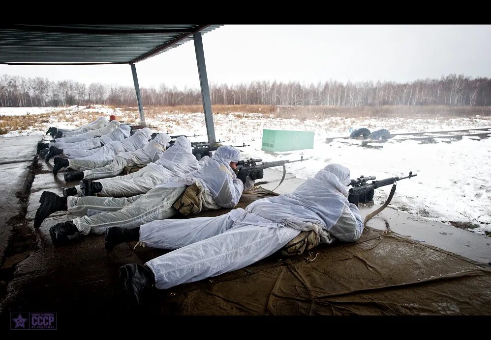 Шеврон разведки снайпер. Снайперские войска специального назначения. Снайперские войска специального назначения. Нашивка рота снайперов. Стрелковая рота снайперов шеврон.