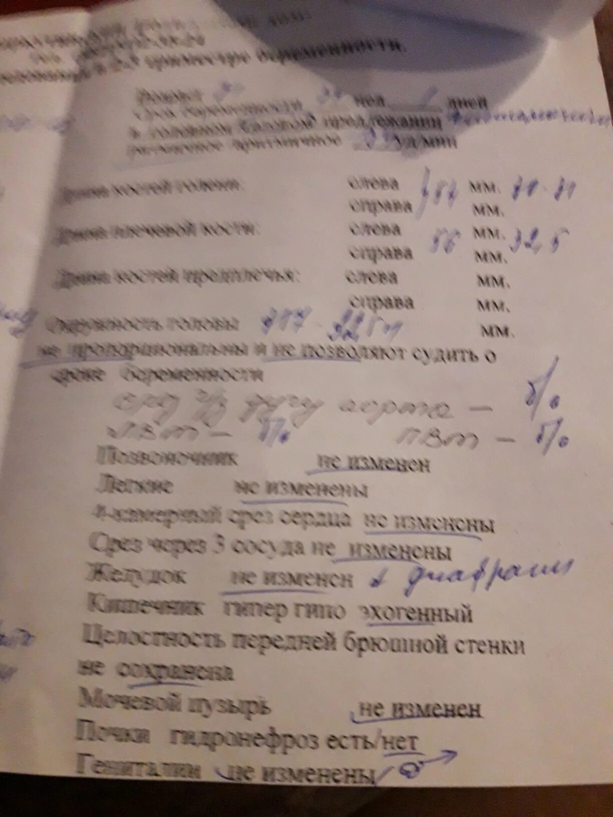 Укорочение трубчатых костей. Укорочение трубчатых костей плода. Укорочение длины трубчатых костей у плода. Короткость трубчатых костей у плода. Укорочение конечностей у плода на УЗИ.