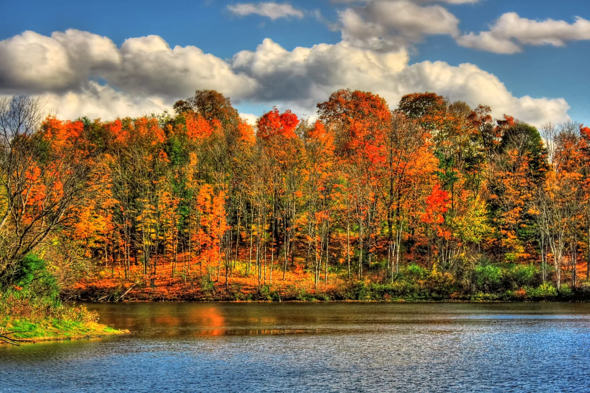 Картинки осени на рабочий. Природа осень. Природа осенью. Красота осени. Краски осени.