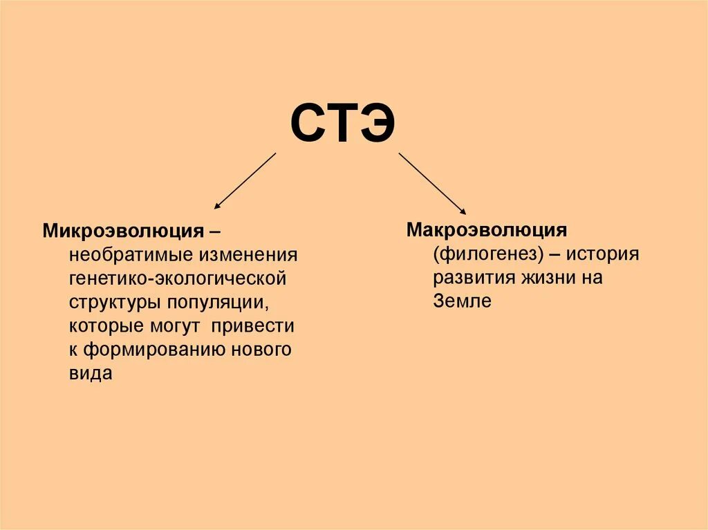 Тема синтетическая теория эволюции. Три составные части синтетической теории эволюции. Формирование синтетической теории эволюции схема. Синтетическая теория эволюции 9 класс биология. Современная теория эволюции.