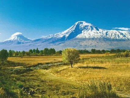 Арарат ararat