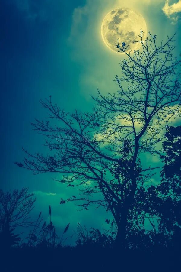 Яркая луна. Полнолуние яркое. Разноцветная луна. Цветная луна природное явление. Клубничная луна 2022.