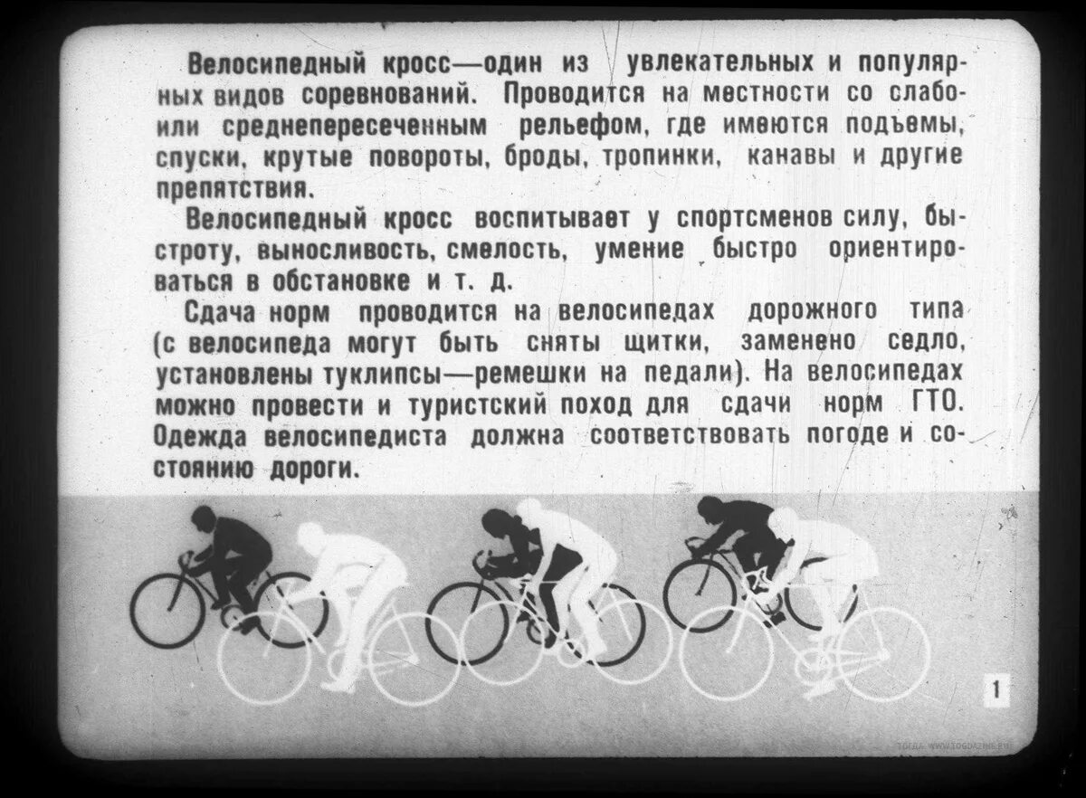 Доклад на тему велосипедный спорт. Виды велосипедов. Проект на тему велоспорт. Велоспорт презентация по физкультуре. Велосипедный спорт правила.