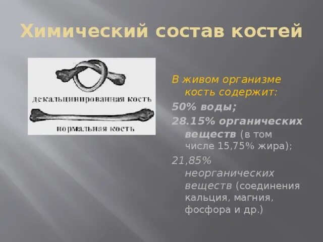 Какие вещества содержатся в составе кости. Состав кости. химический состав костей. химический состав костей человека. живая кость содержит.
