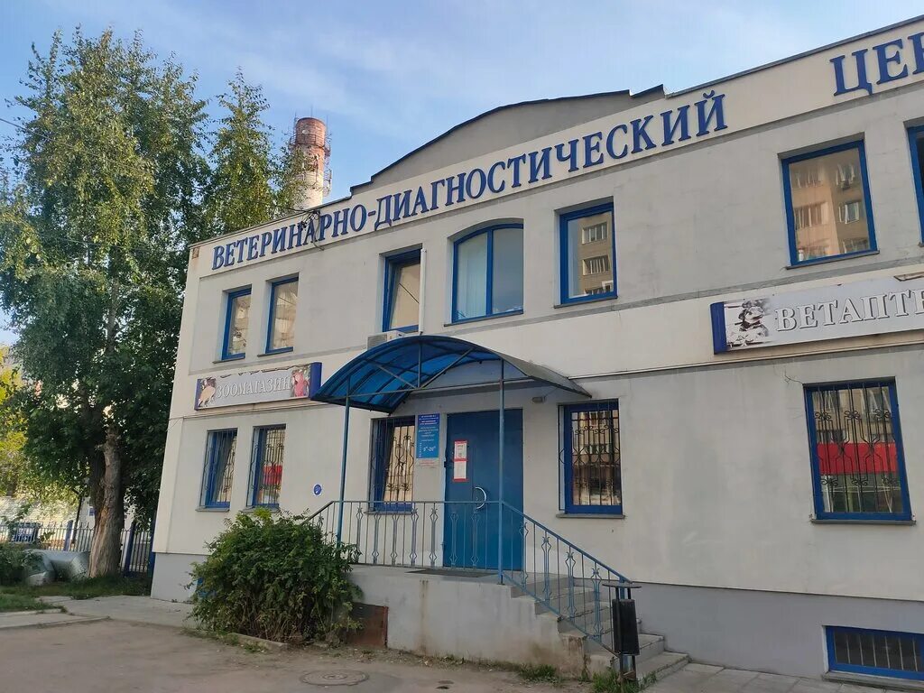 Коломна ул ветеринарная 4. Коломна ветклиники телефоны. Ветклиника круглосуточно. Коломна ветклиники телефоны. , 2.
