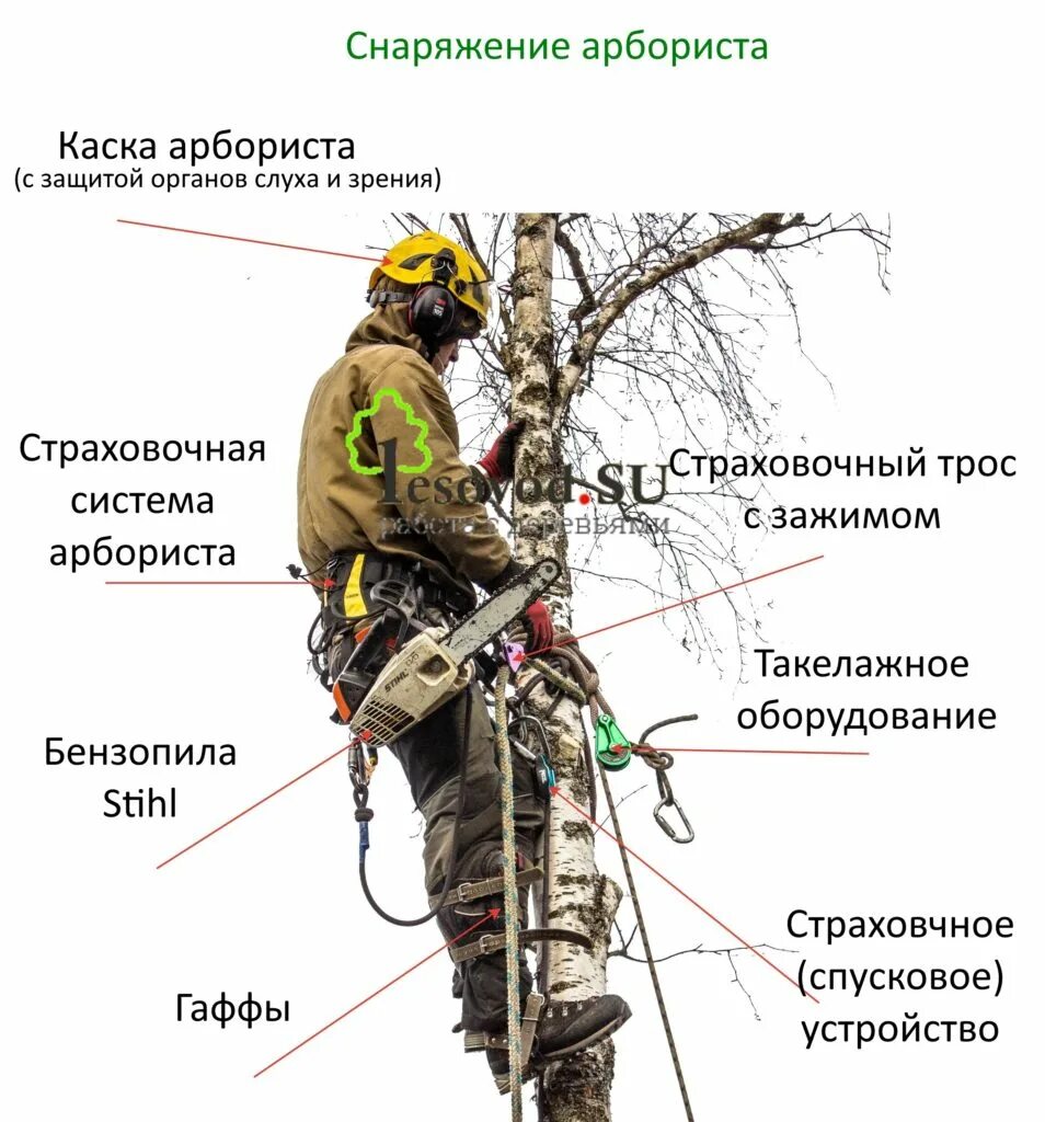Снаряжение для деревьев. Арбористика спил деревьев. снаряжение для арбористики. комплект снаряжение для арбористики. оборудование арбориста.