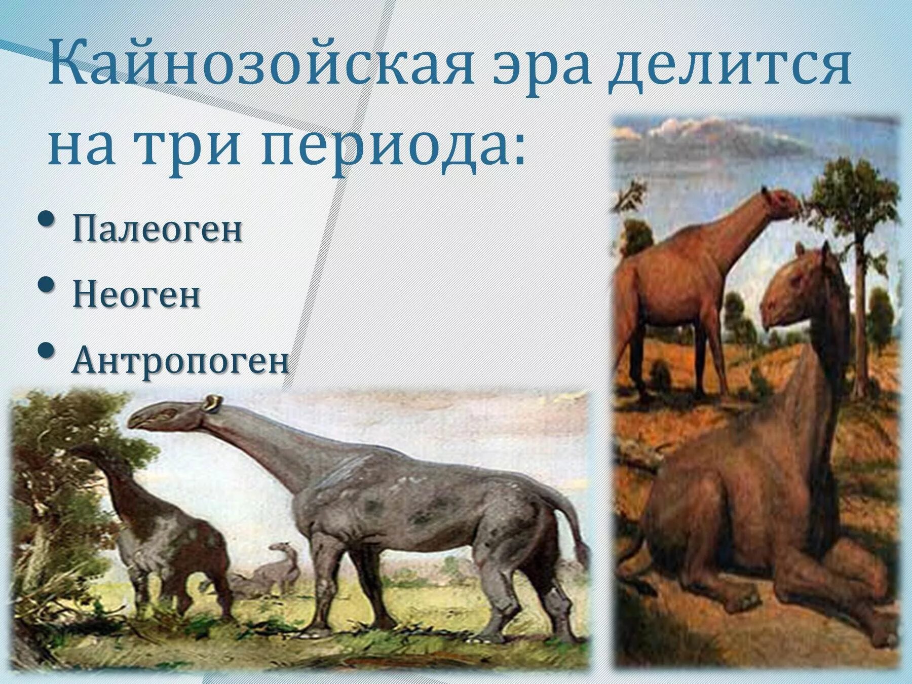 Появление кайнозойской эры. Кайнозой период палеоген. Кайнозойская Эра неоген растительный мир. Кайнозойская Эра период палеоген. Эра палеоген Возраст.