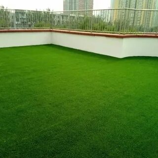 Низкий берег покрыт зеленым ковром