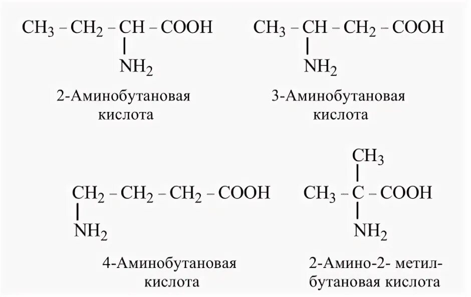 Изомеры аминобутановой кислоты. 2 Аминобутановая кислота формула и изомеры. Изомеры Альфа аминобутановой кислоты. Аминобутановая кислота формула. 1 3 аминобутановая кислота