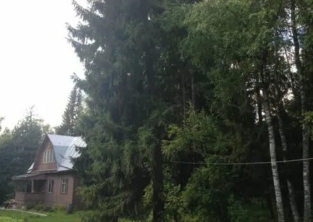 Поселок зеленоградский пушкинский
