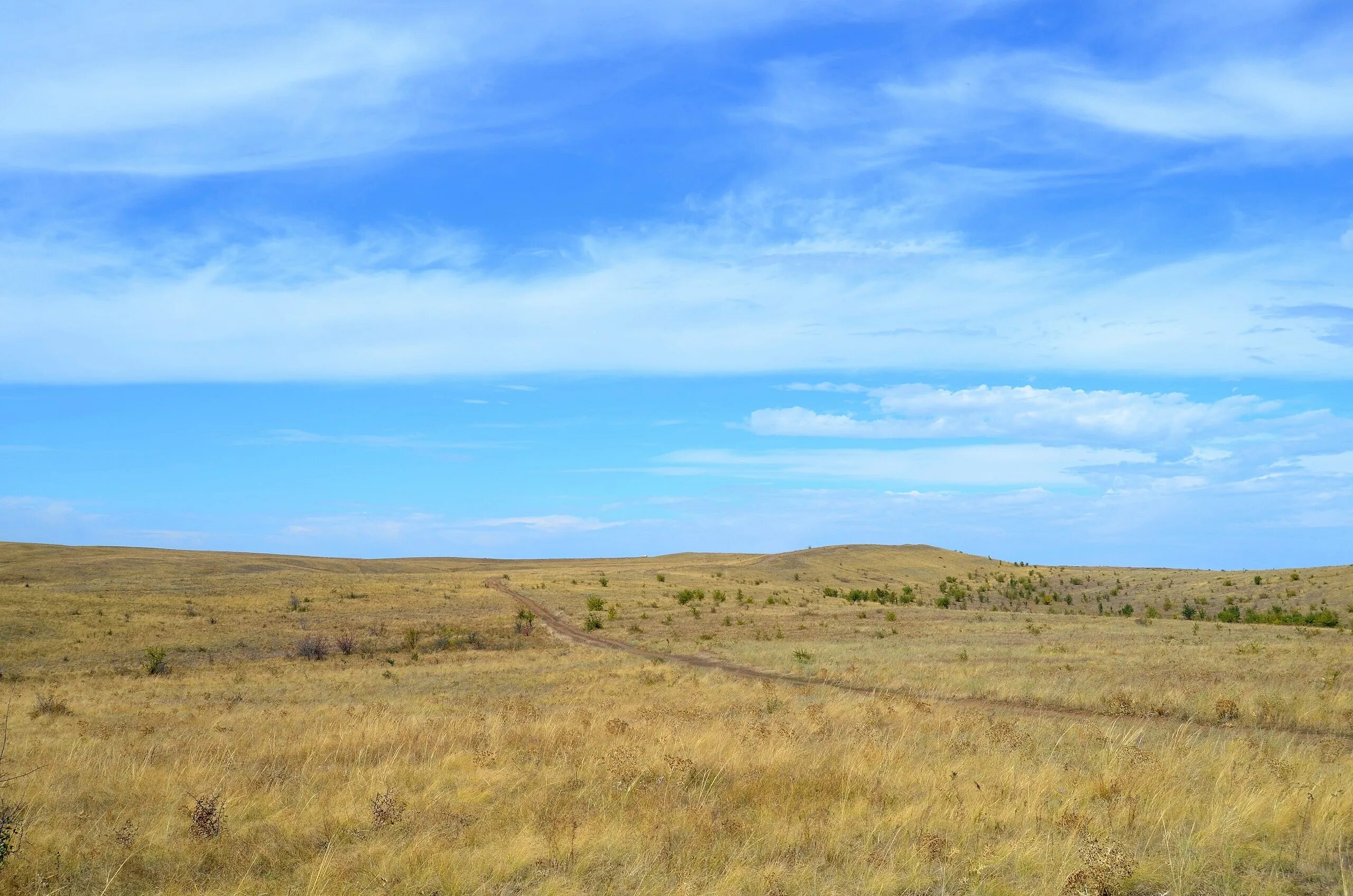 первый степь. первый степь. казахстан поля степи. провальская степь королевские скалы. стрелецкая степь ковыль.