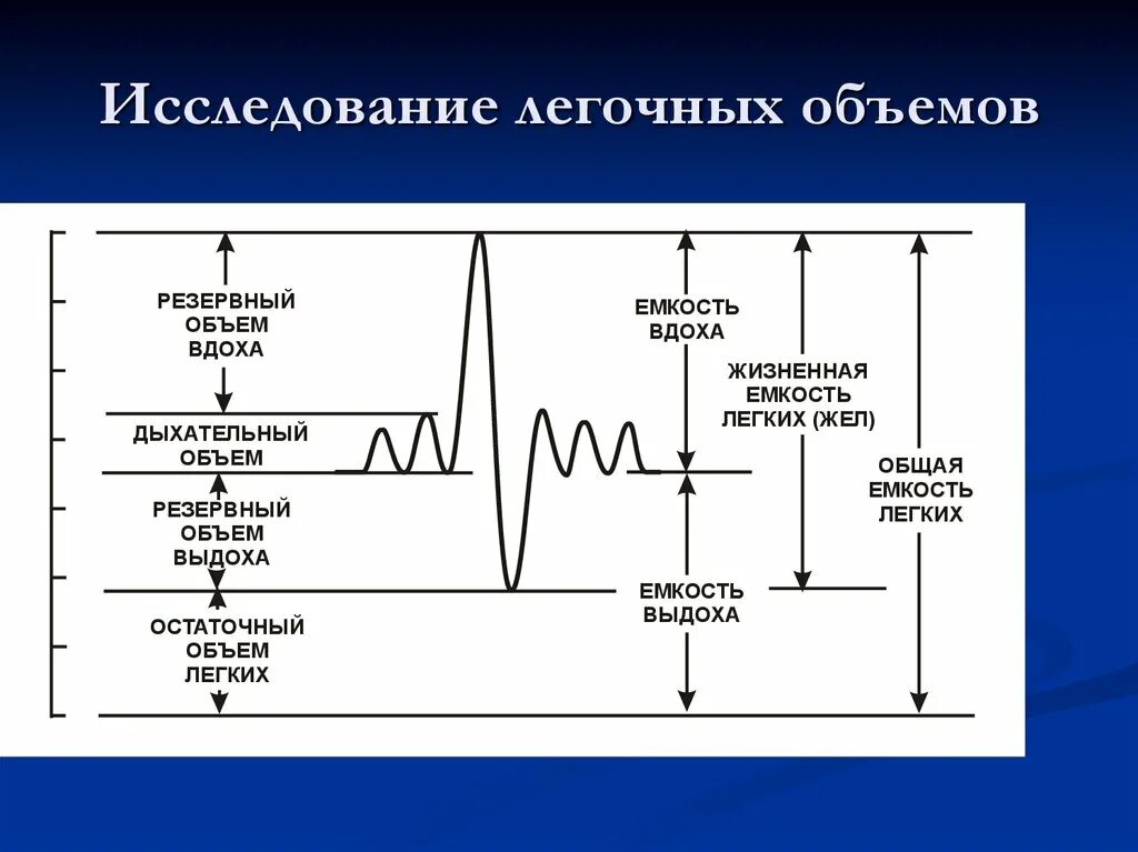 Максимальная жизненная емкость легких. Спирограмма легочные объемы и емкости. Жизненная емкость легких схема. Спирограмма жизненной емкости легких. Легочные объемы, жизненная и общая емкость легких.