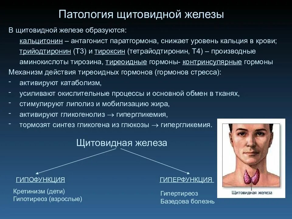 Таблица железы эндокринной системы по биологии 8 класс. Таблица функции желез внутренней секреции гипофиз. Гиперфункция эндокринных желез. Гиперфункция эндокринных желез. Гиперфункция эндокринных желез.