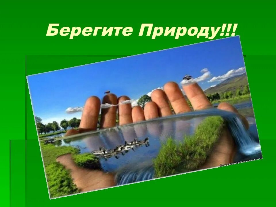 Берегите природу цифровой. Берегите природу. берегите природу информация. берегите природу презентация. береги природу презентация.
