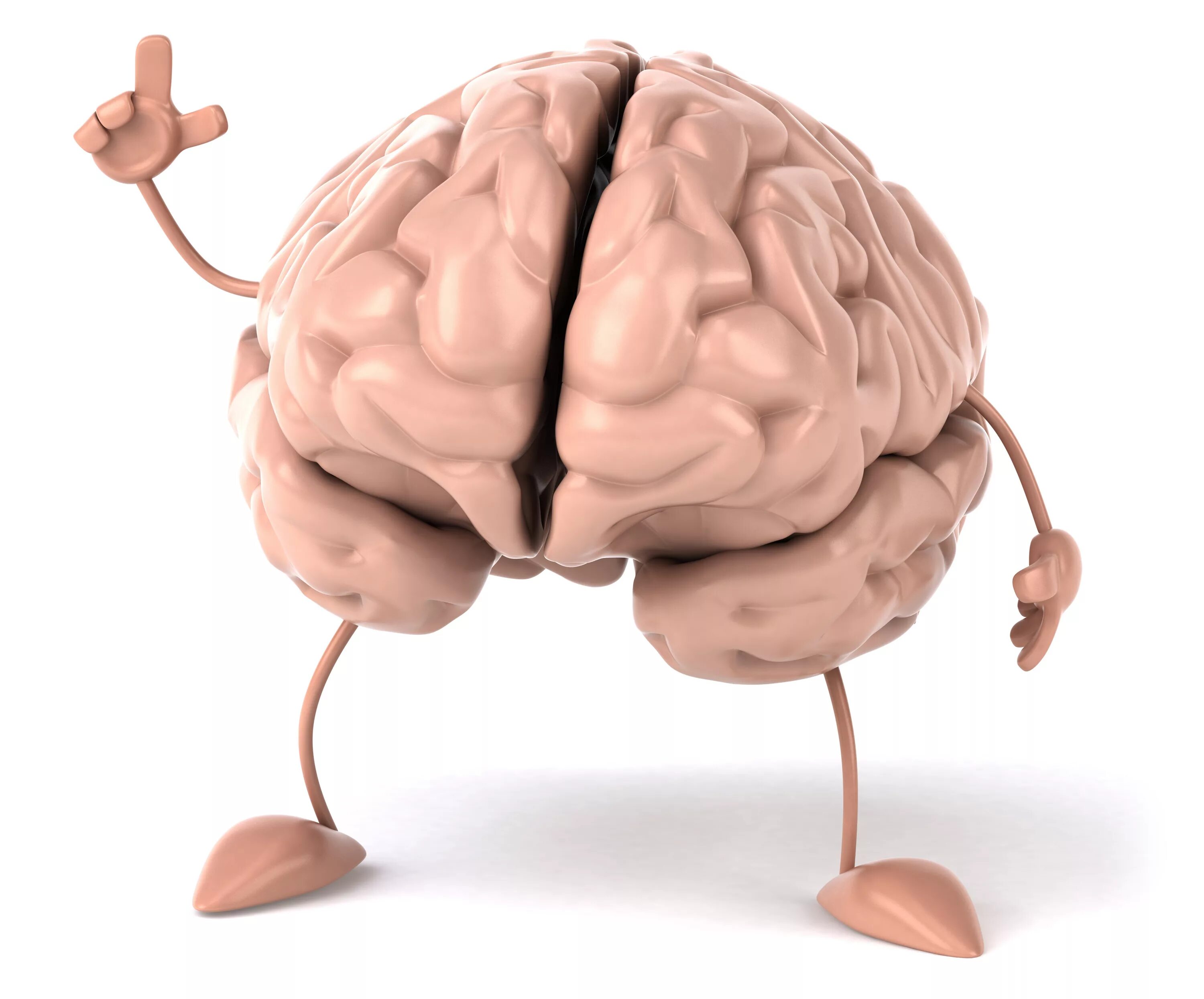 Brain 259. Изображение мозга.