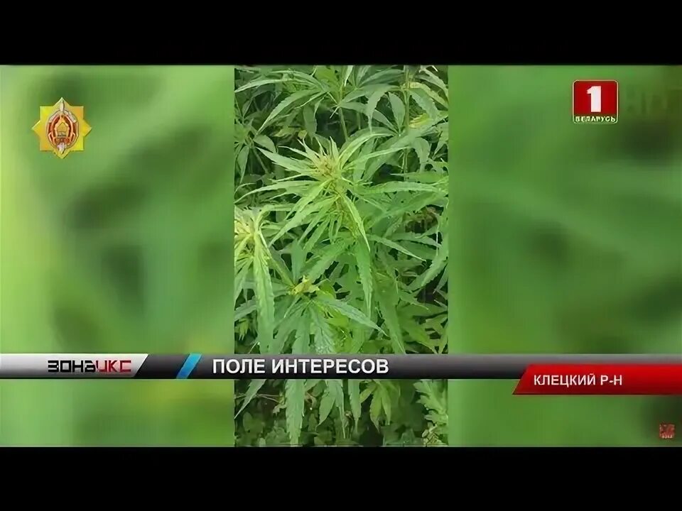 Зона х 2